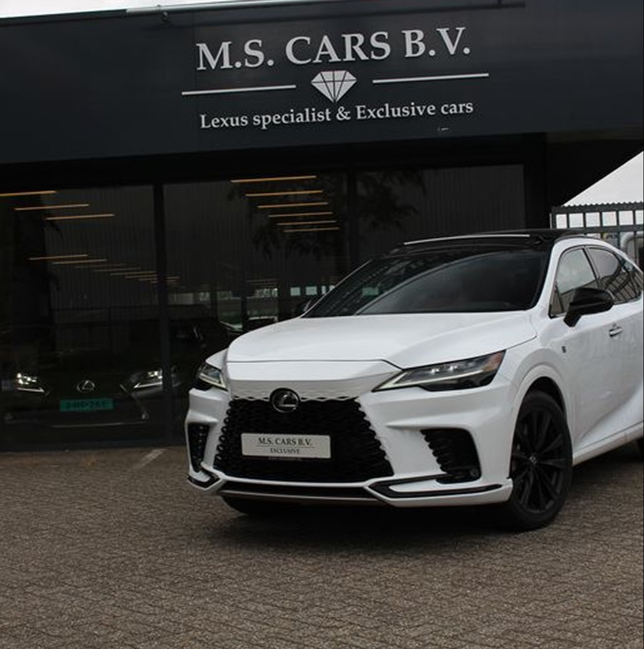 Gallery gallery_images_1_1_17859229521442420732.jpg  | M.S. Cars B.V.