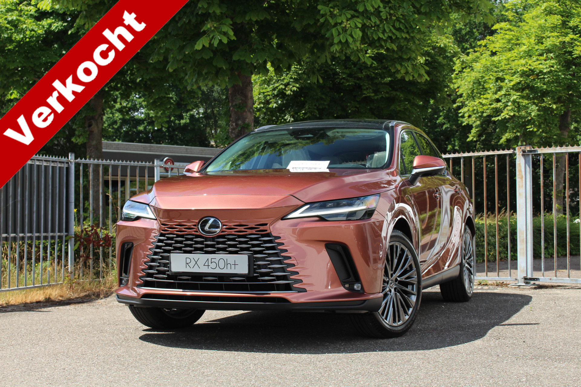 Lexus RX 450h+ Plug-in Hybrid President Line 35126861-0.jpg |